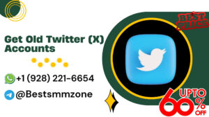 Get old Twitter (X) Accounts